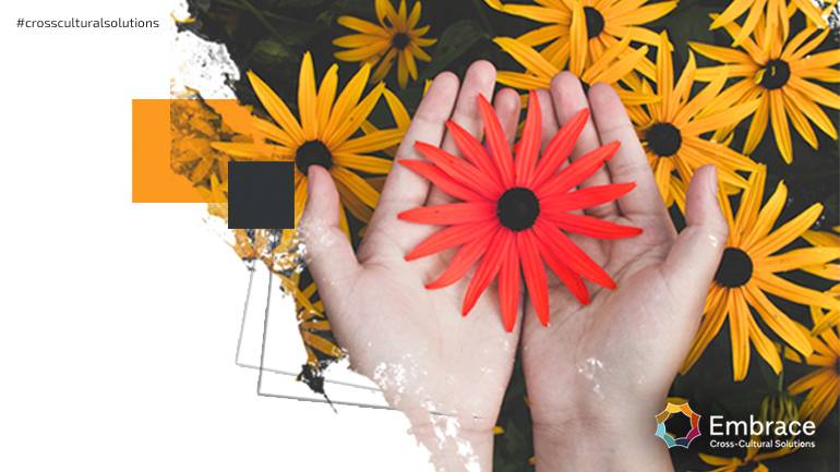 Understanding where the cultural differences reside.